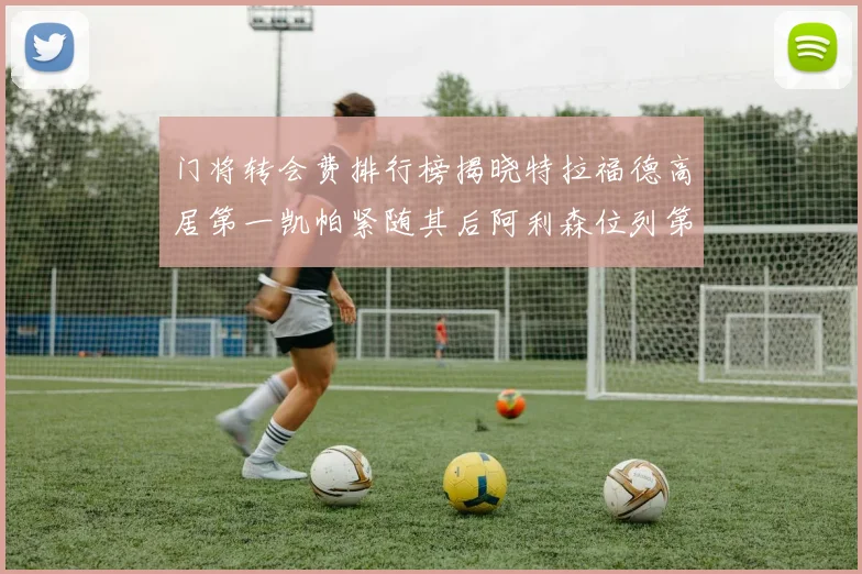 门将转会费排行榜揭晓特拉福德高居第一凯帕紧随其后阿利森位列第三